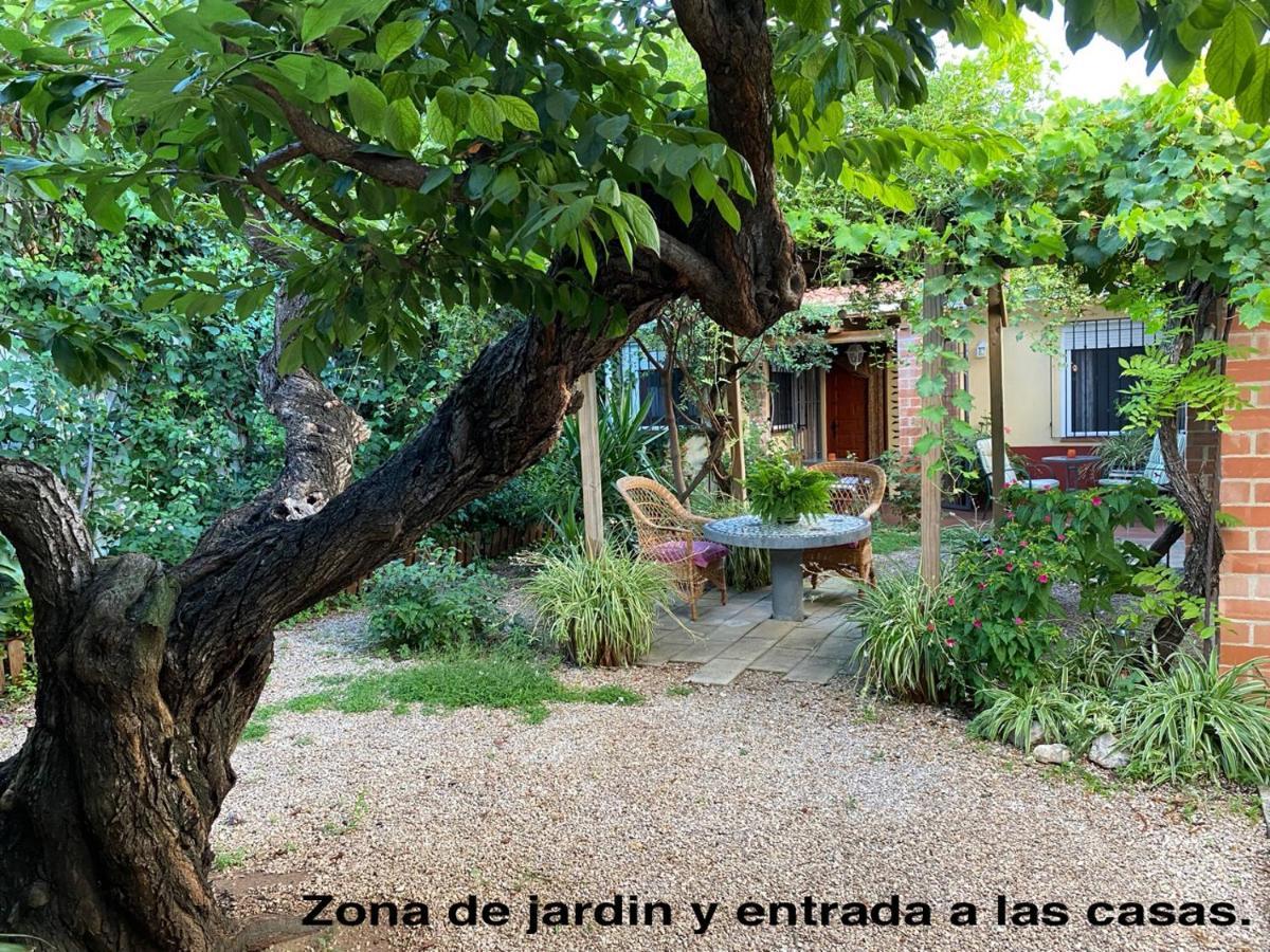 La Casa Rural de Carlos Playa de Gandía Exterior foto